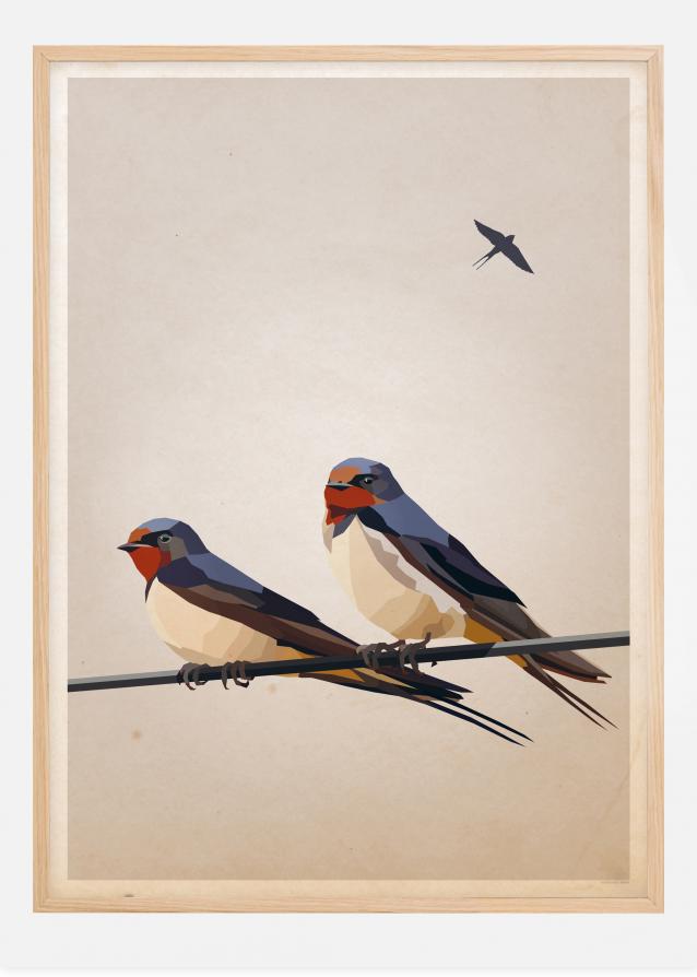 Swallows Póster