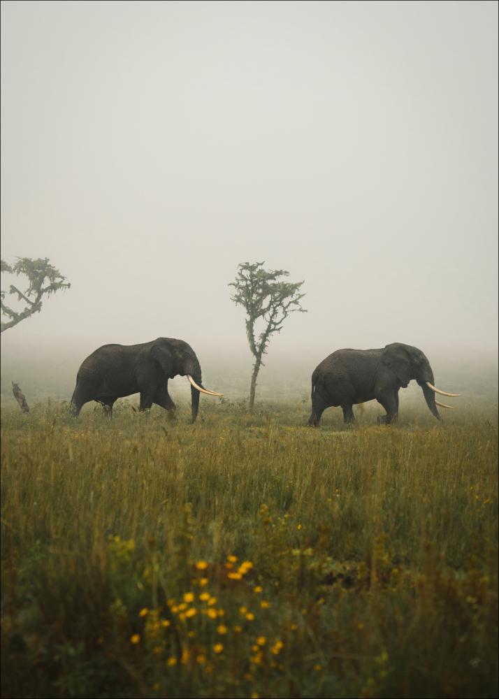 Elephant Walk Póster