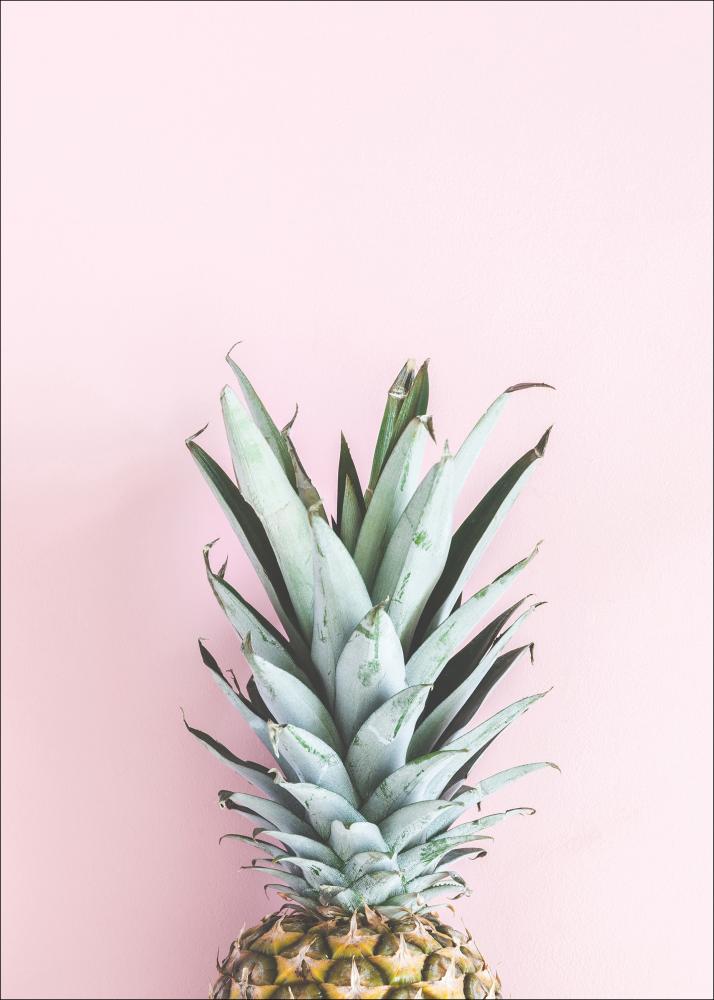 Pineapple Pink Póster