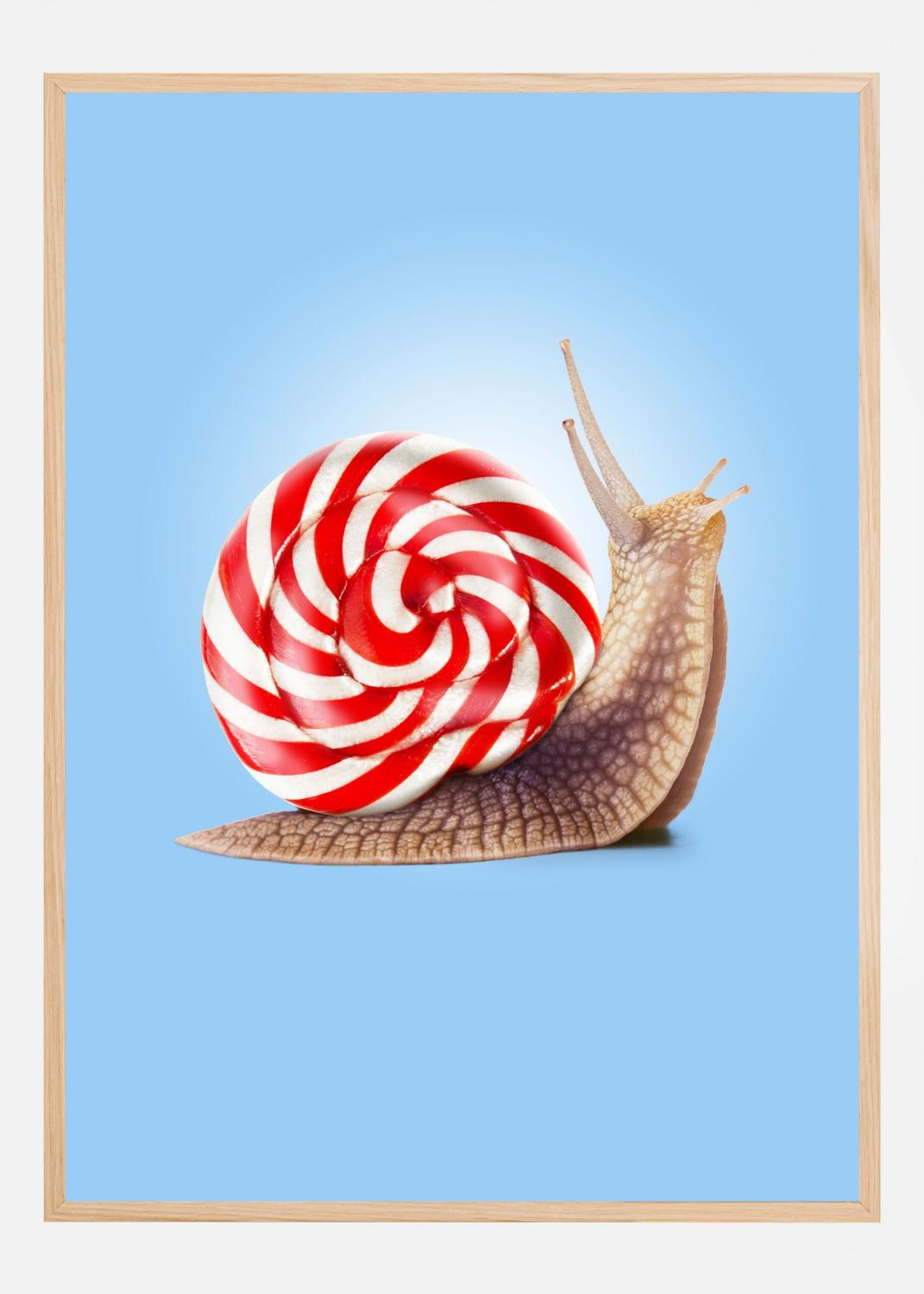 Product Image for Snail Candy Póster (30x40 cm)