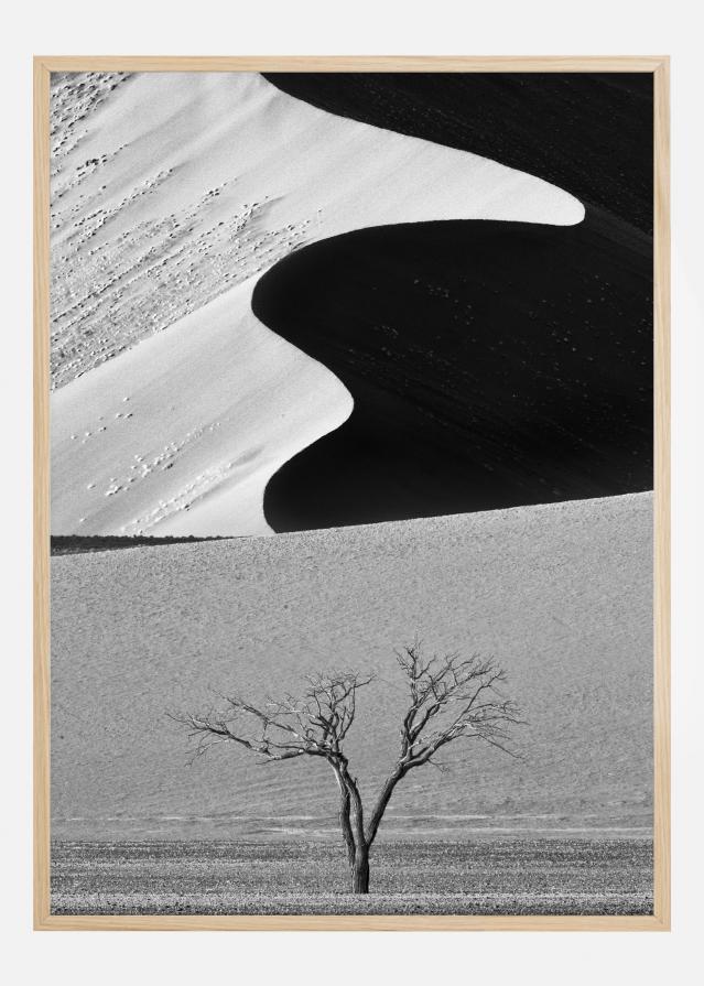 Dune Curves Póster