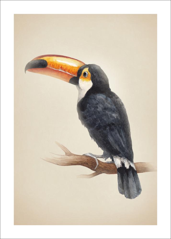 Tropical Toucan Póster