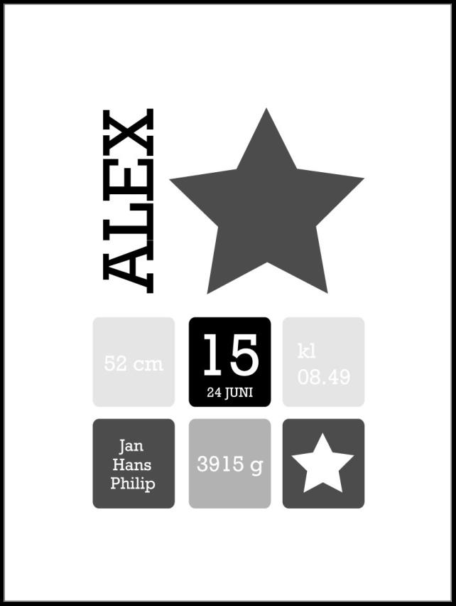 Star Birth Póster Grey
