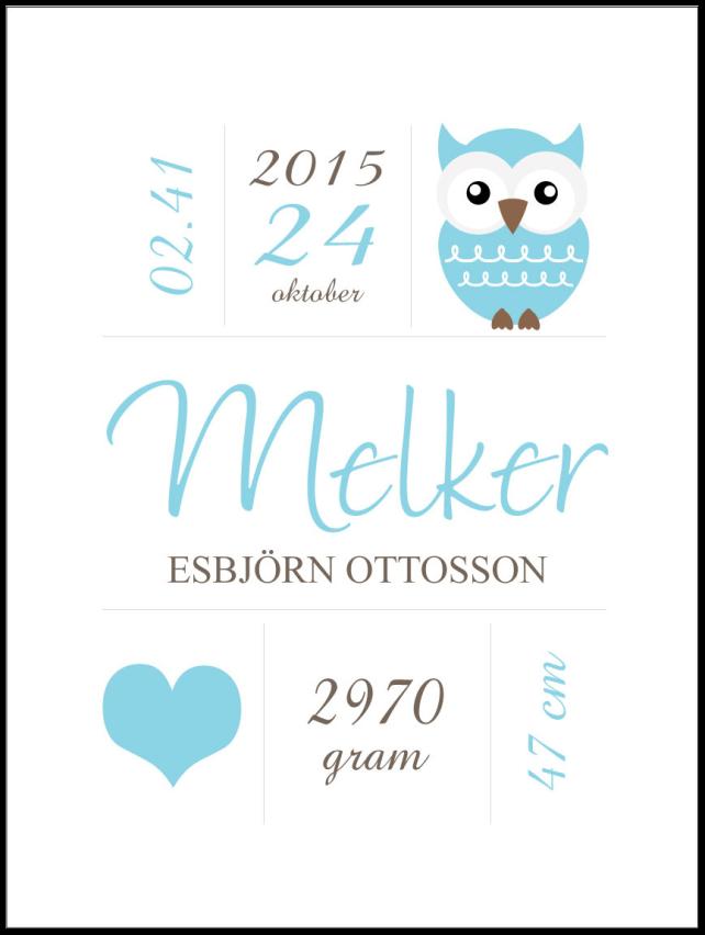 Owl Birth Póster Blue