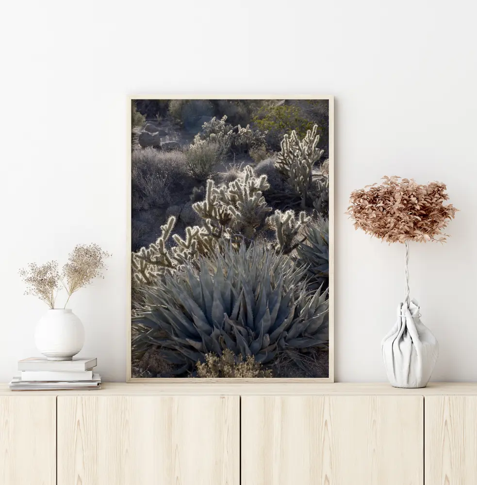 Cactus In Desert Póster