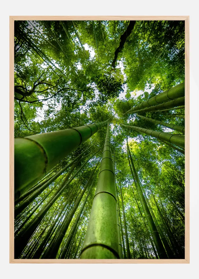 ARASHIYAMA Póster