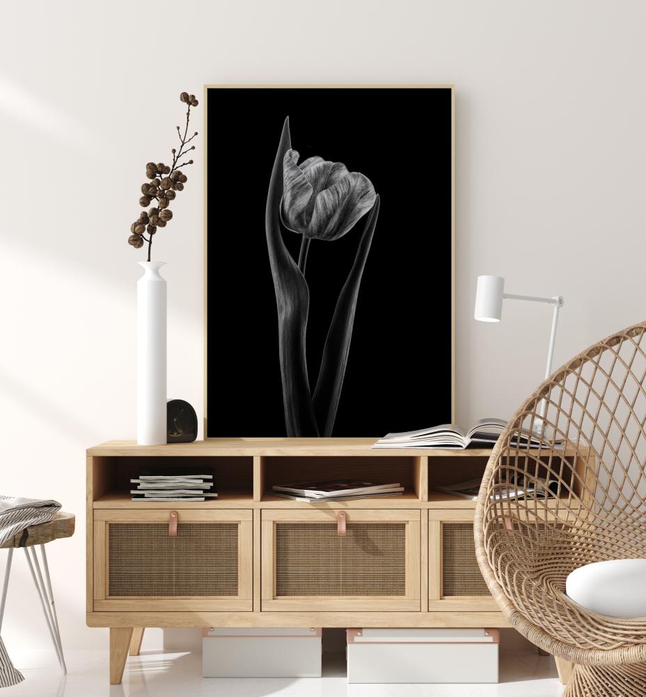 Rembrandt Tulip Póster