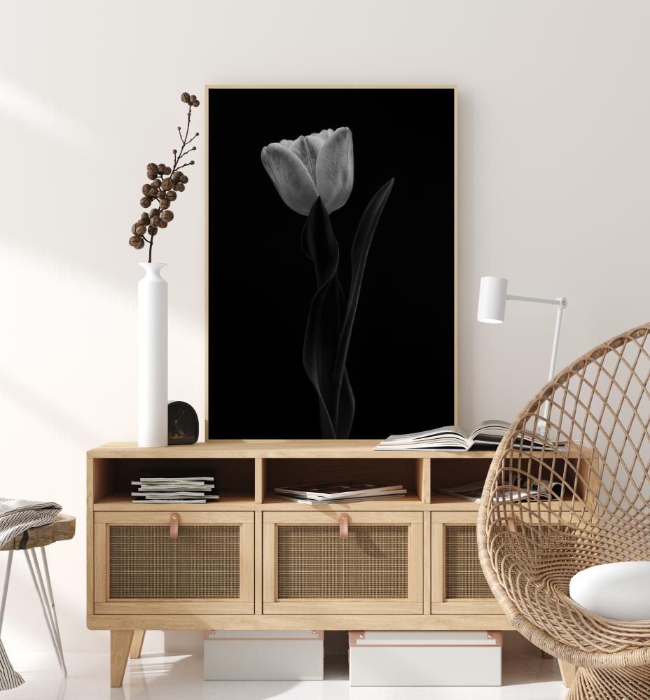 Tulip Póster