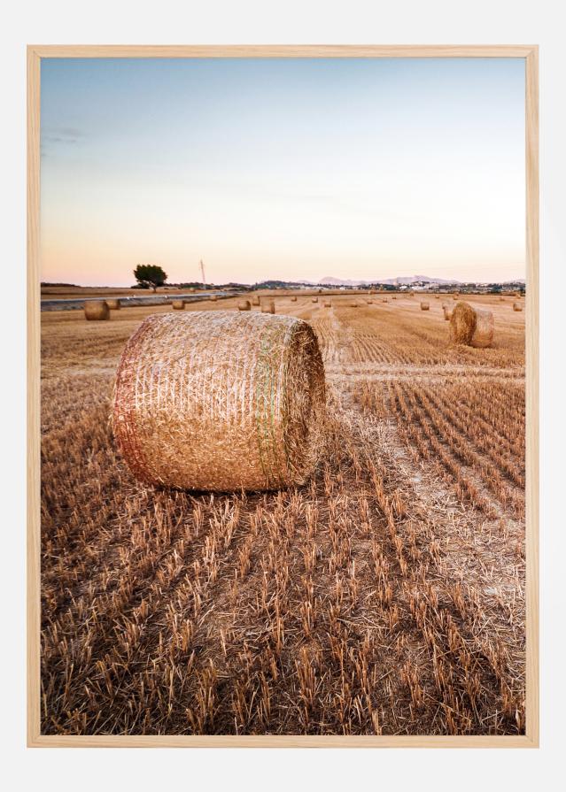 Hay Fields Póster