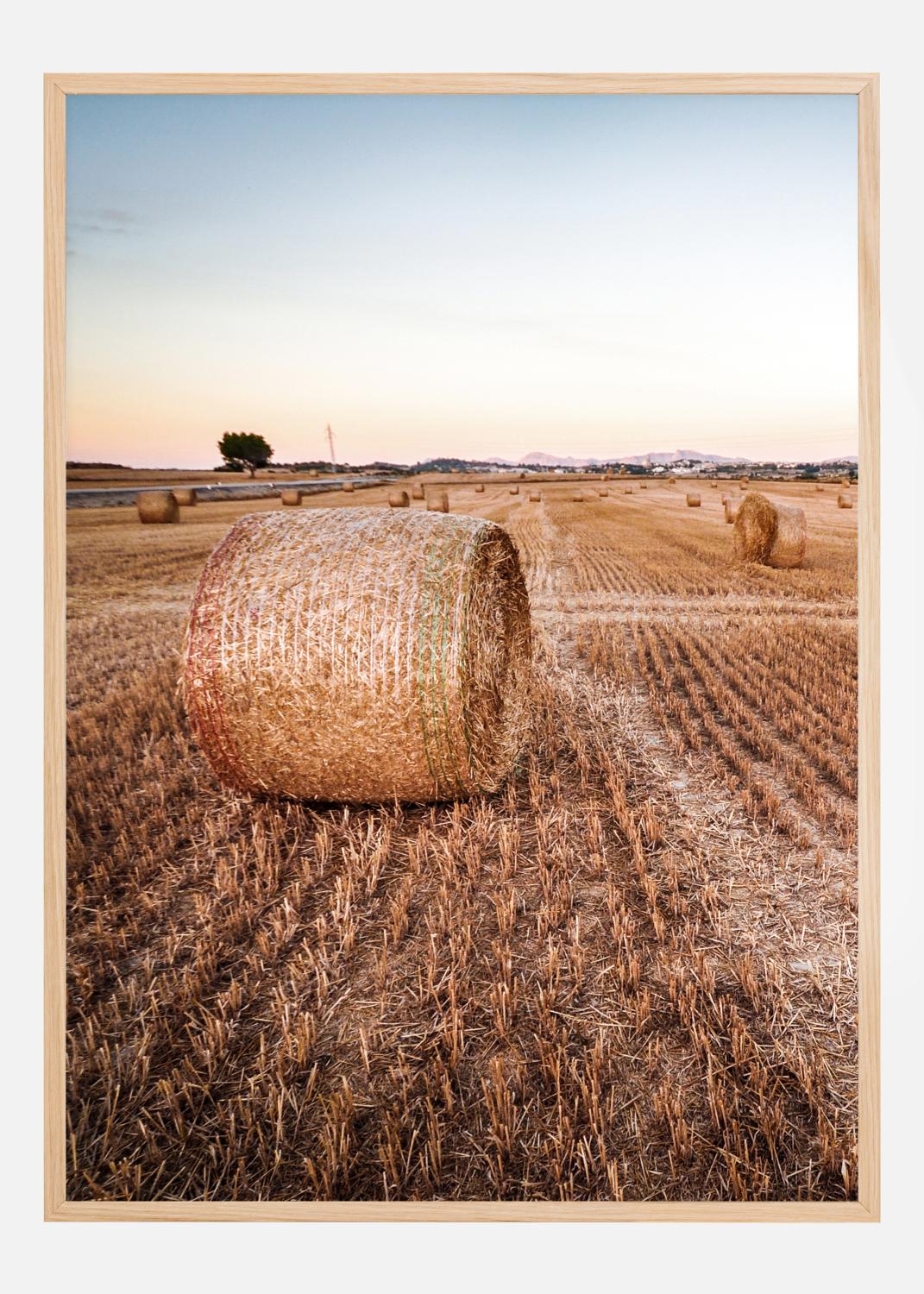 Product Image for Hay Fields Póster (70x100 cm)