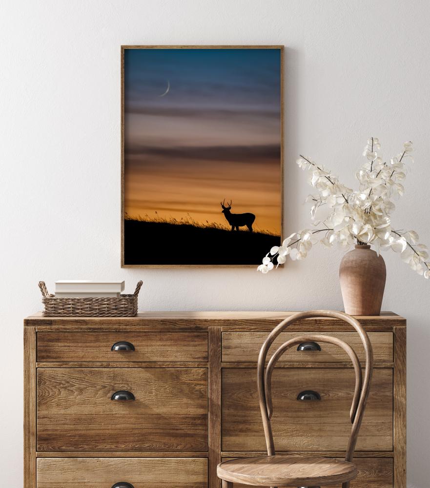 Deer In Sunset Póster