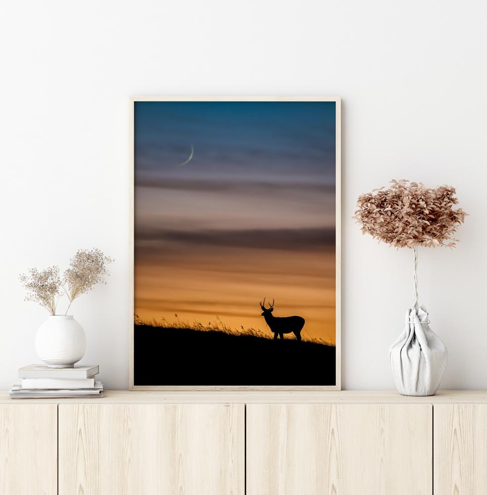 Deer In Sunset Póster