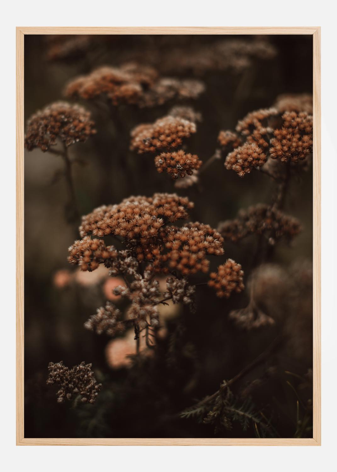 Product Image for Cow Parsley Póster (21x29.7 cm (A4))