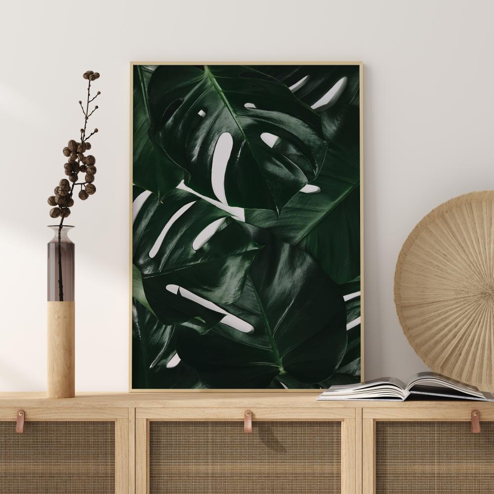 Monstera Plant I Póster