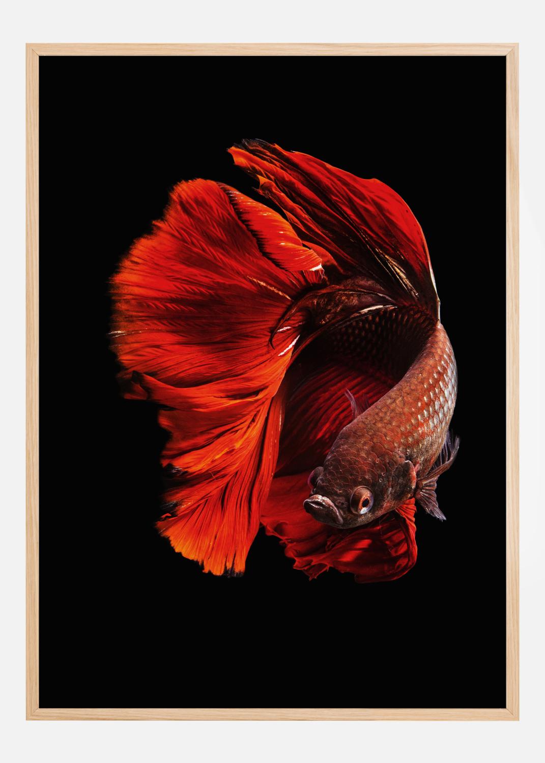 Product Image for The Red Póster (21x29.7 cm (A4))