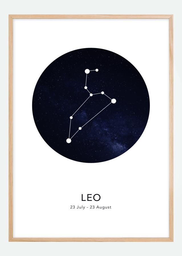 Leo Póster