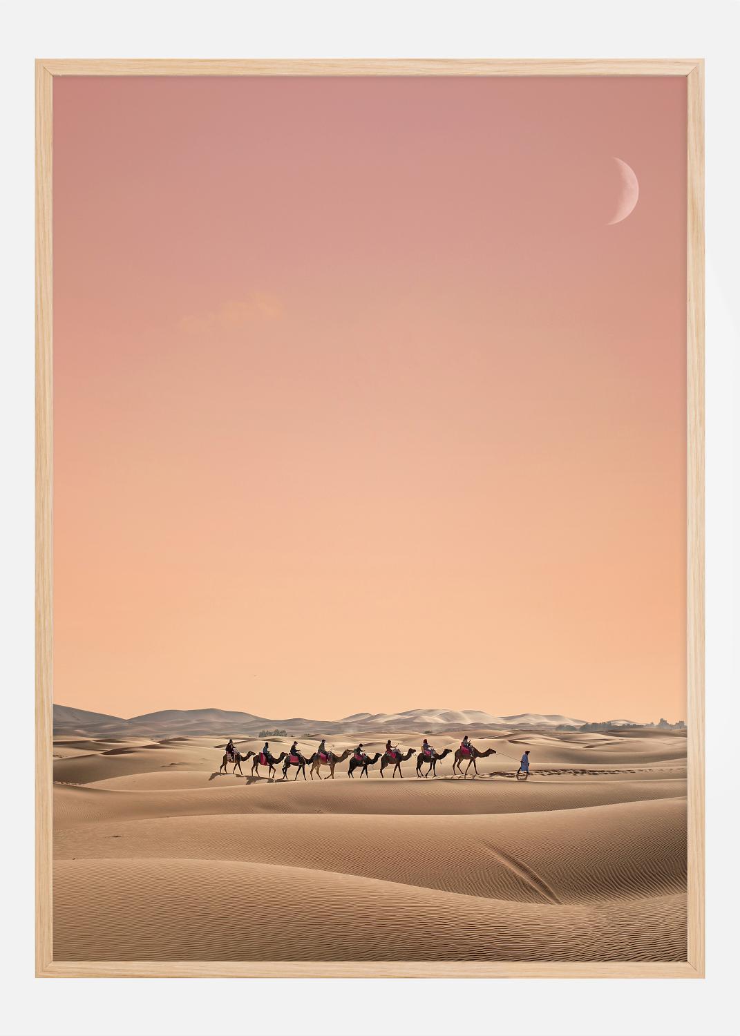 Product Image for Eight Camels Póster (70x100 cm)