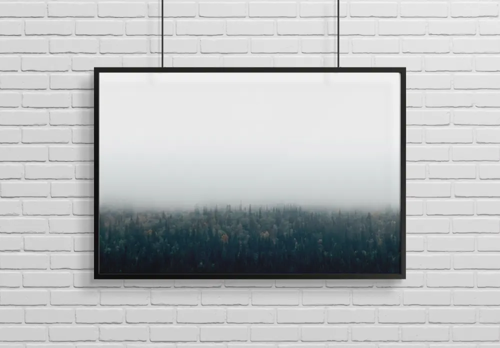 Forests in fog Póster