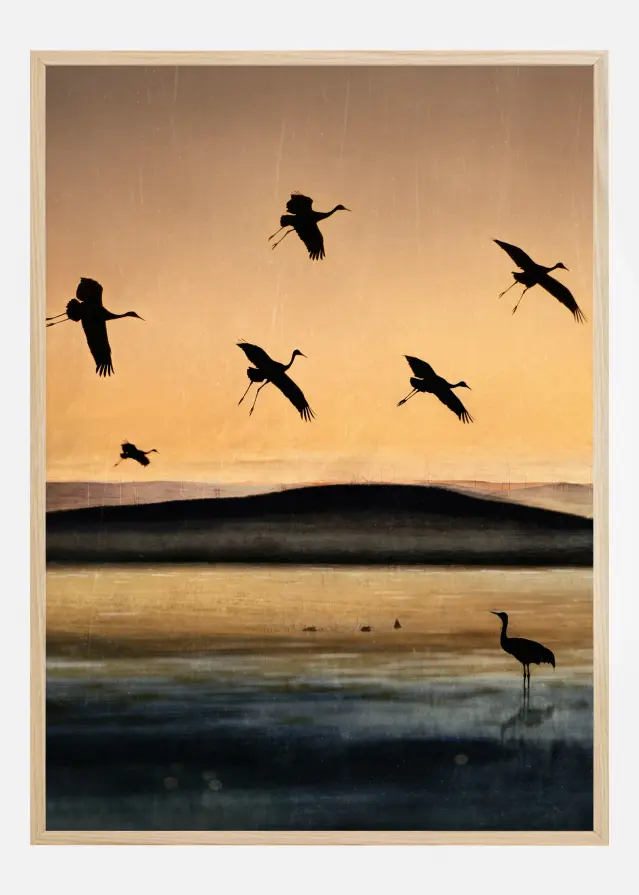Fly-In At Sunset Póster