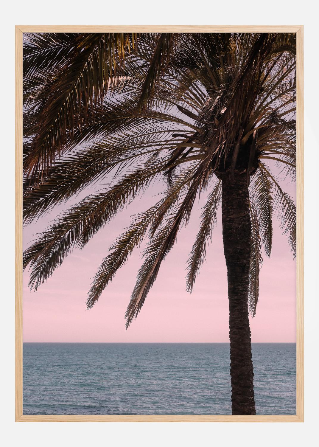 Product Image for Palm Beach I Póster (21x29.7 cm (A4))
