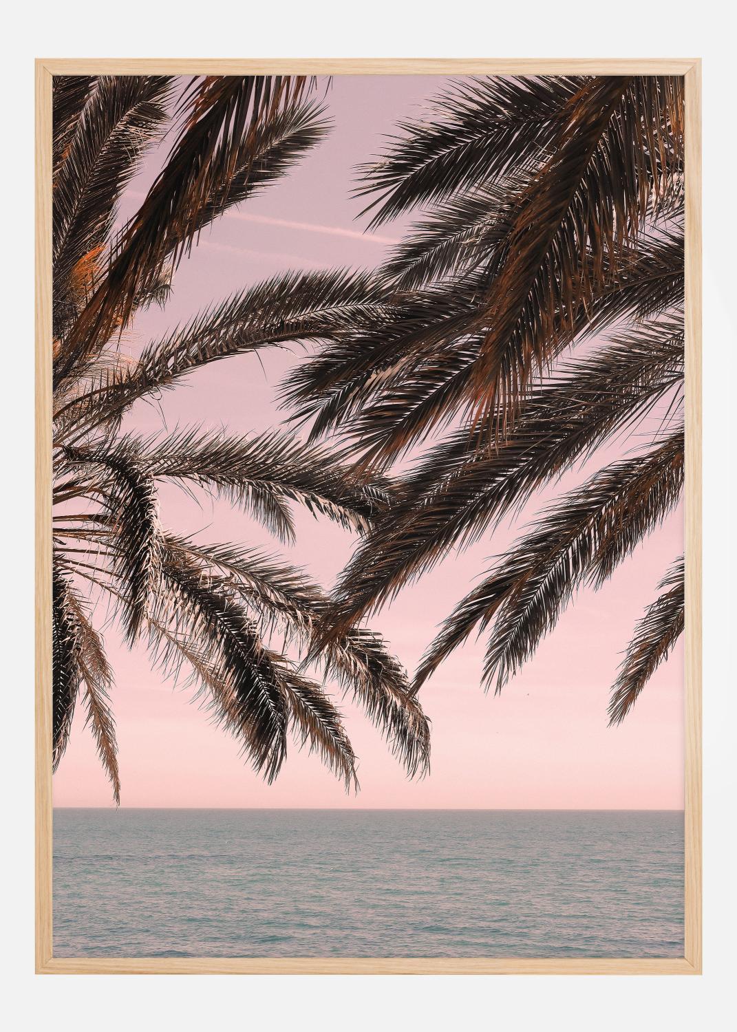 Product Image for Palm Beach III Póster (21x29.7 cm (A4))