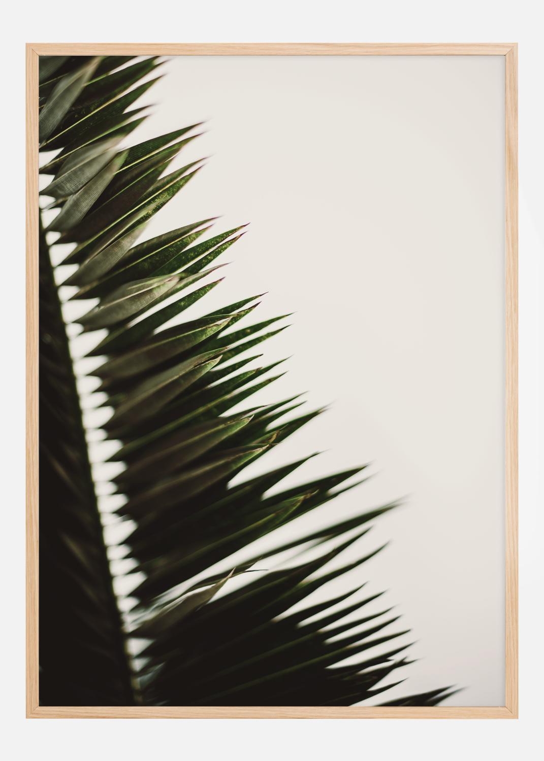 Product Image for Palm Branches Póster (21x29.7 cm (A4))