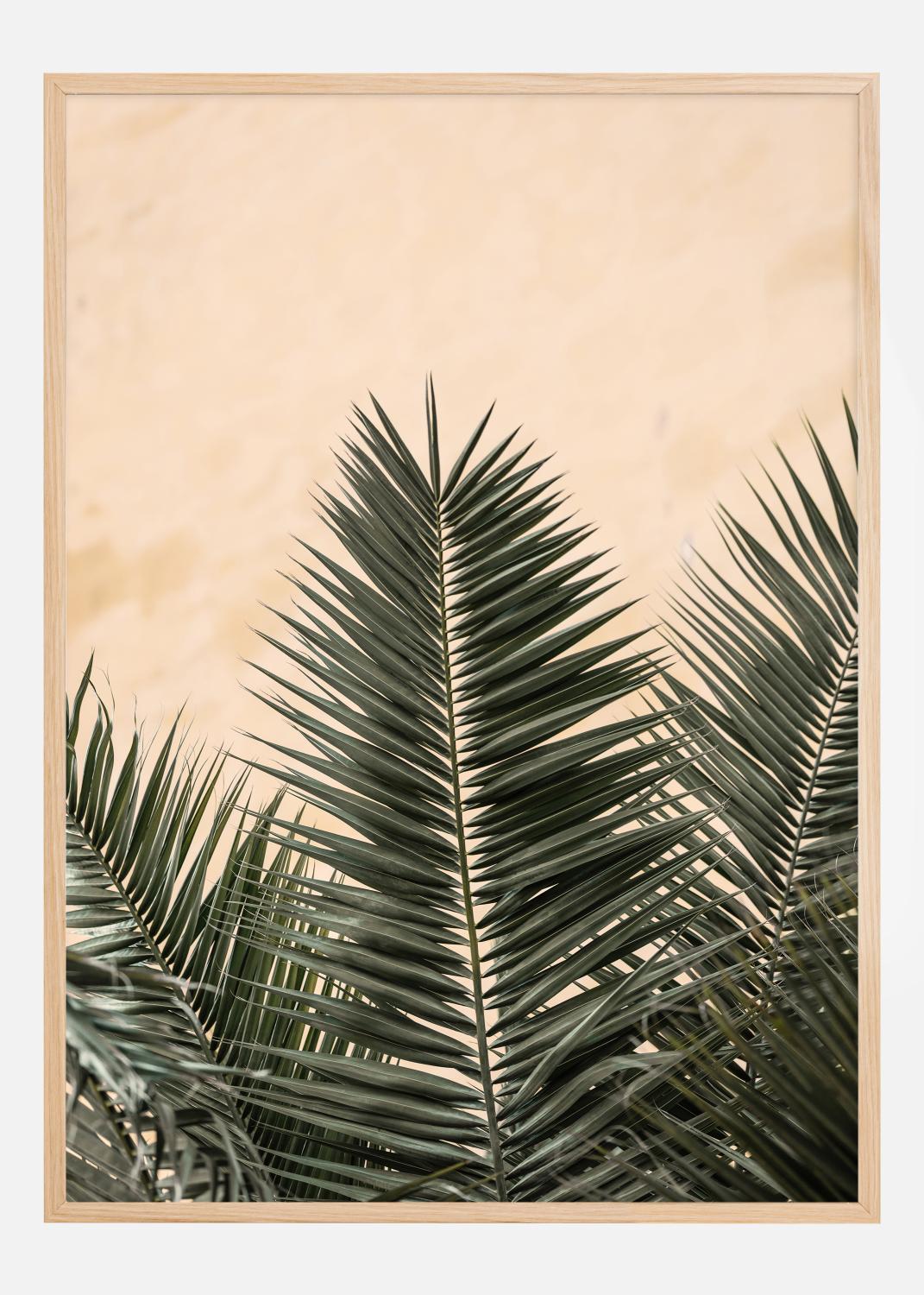 Product Image for Palm leaves and wall Póster (21x29.7 cm (A4))