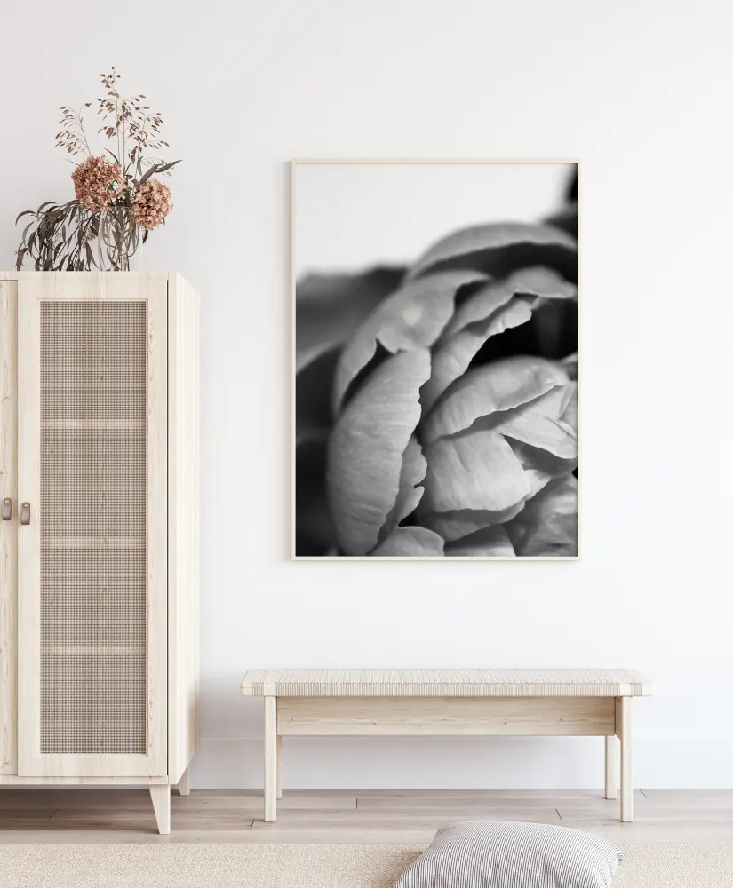 Peony B&W Póster