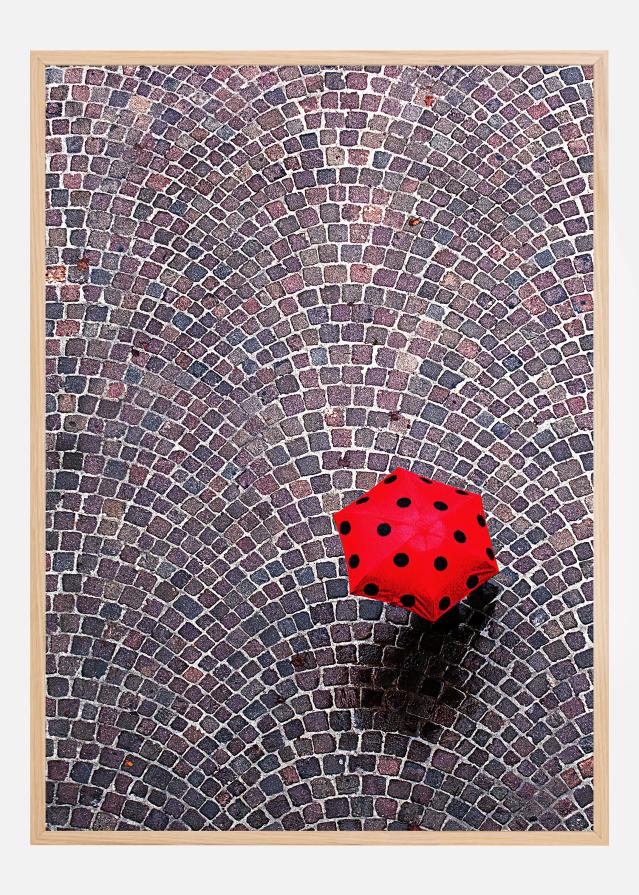 Urban Ladybug Póster