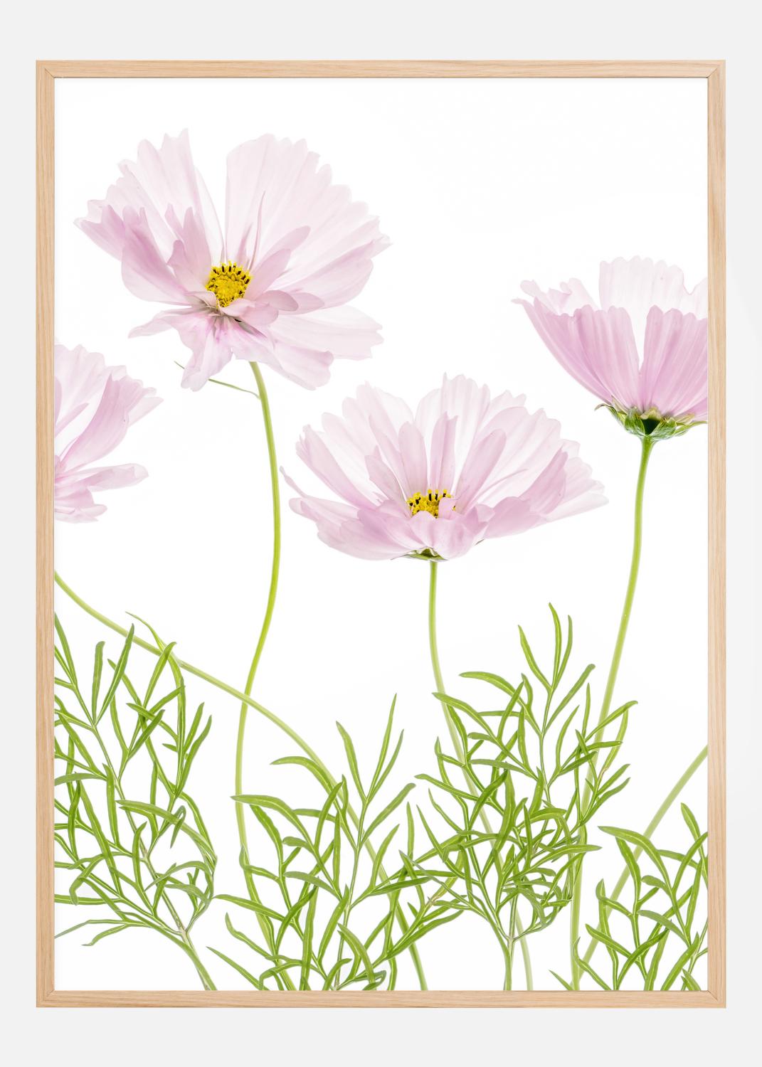 Product Image for Cosmos Cupcake Póster (21x29.7 cm (A4))