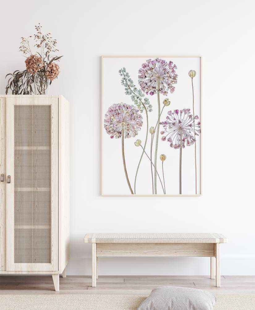 Allium Póster