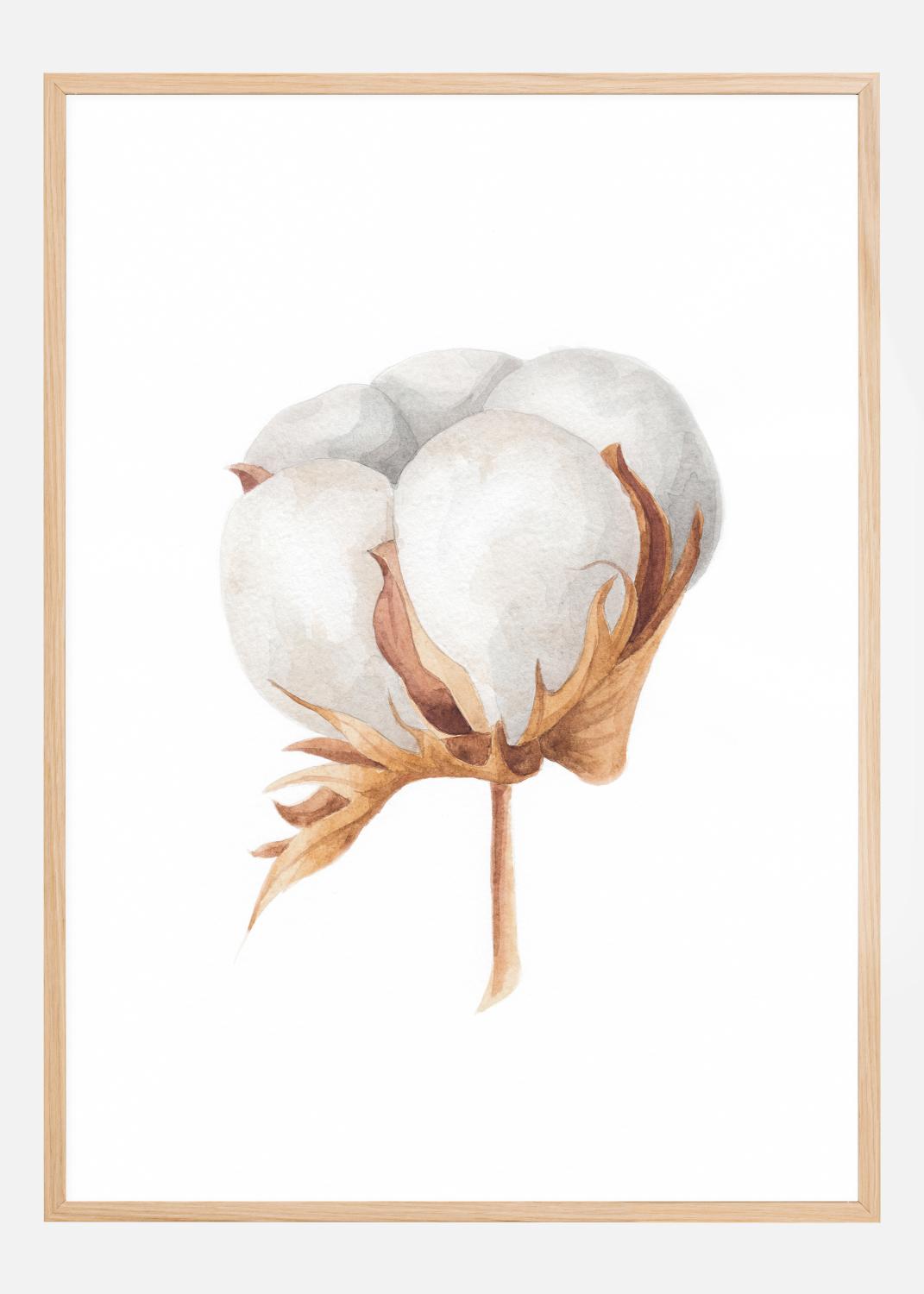Product Image for Cotton Flower Póster (21x29.7 cm (A4))