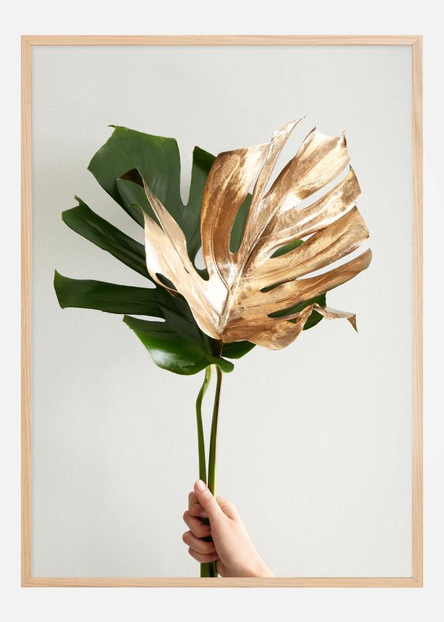 Golden monstera Póster