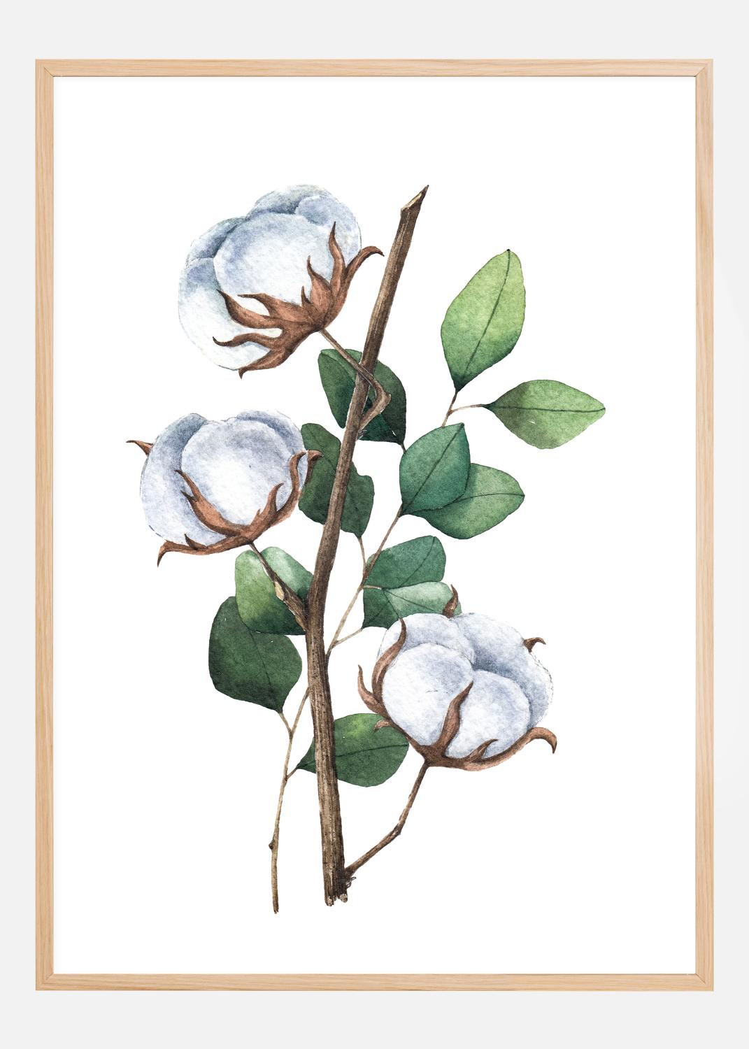 Product Image for Cotton Flower Póster (21x29.7 cm (A4))