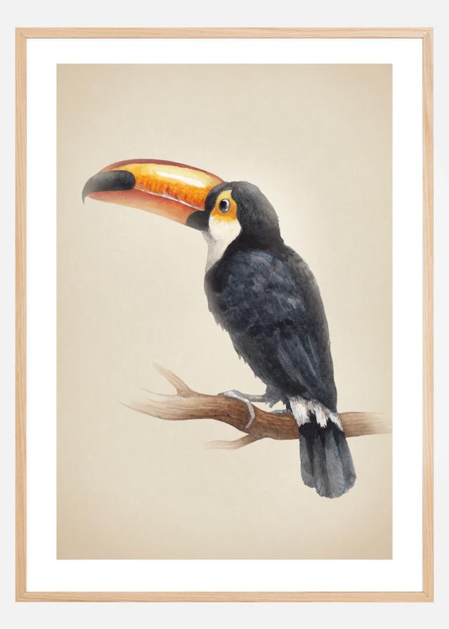 Tropical Toucan Póster