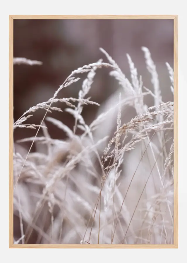 Straws in a field Póster