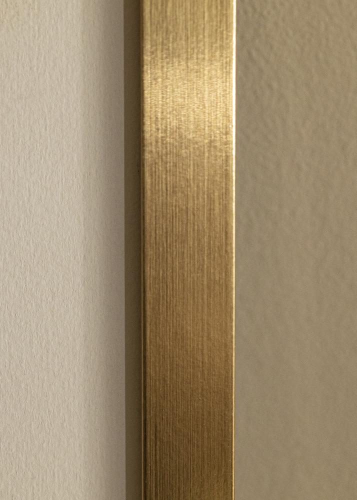 Moldura Selection Vidro acrílico Dourado 60x80 cm