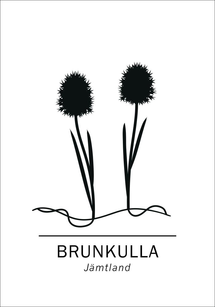 Brunkulla - Jämtland Póster