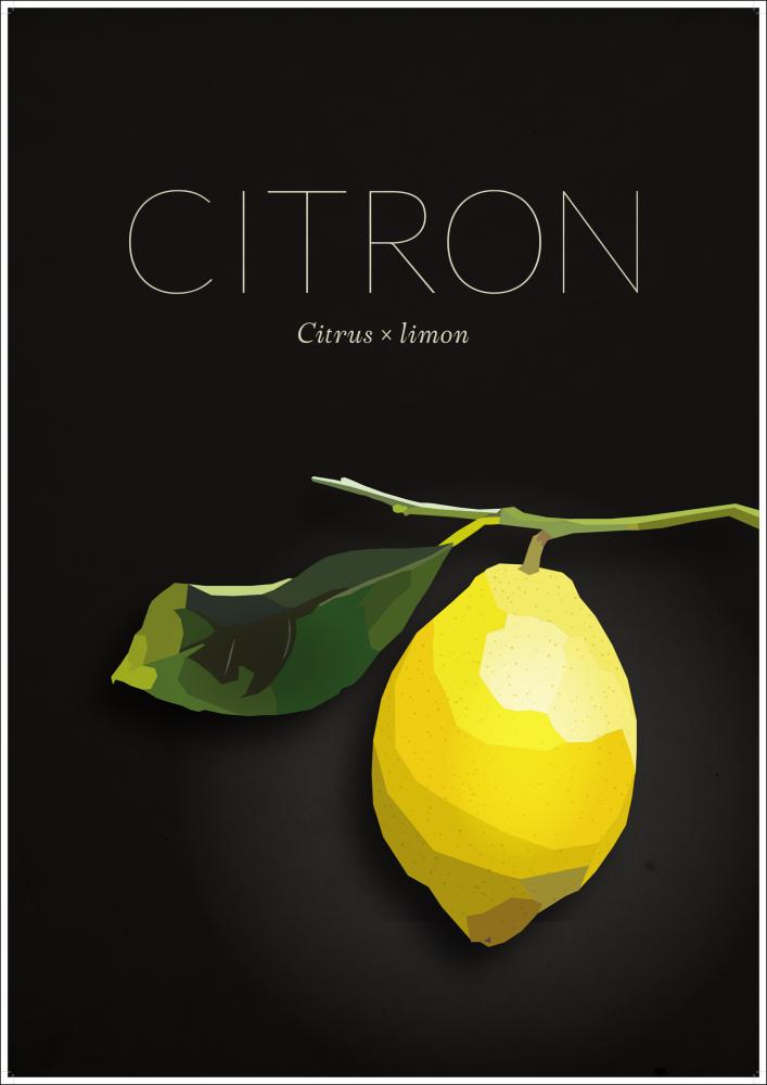 Citron Póster