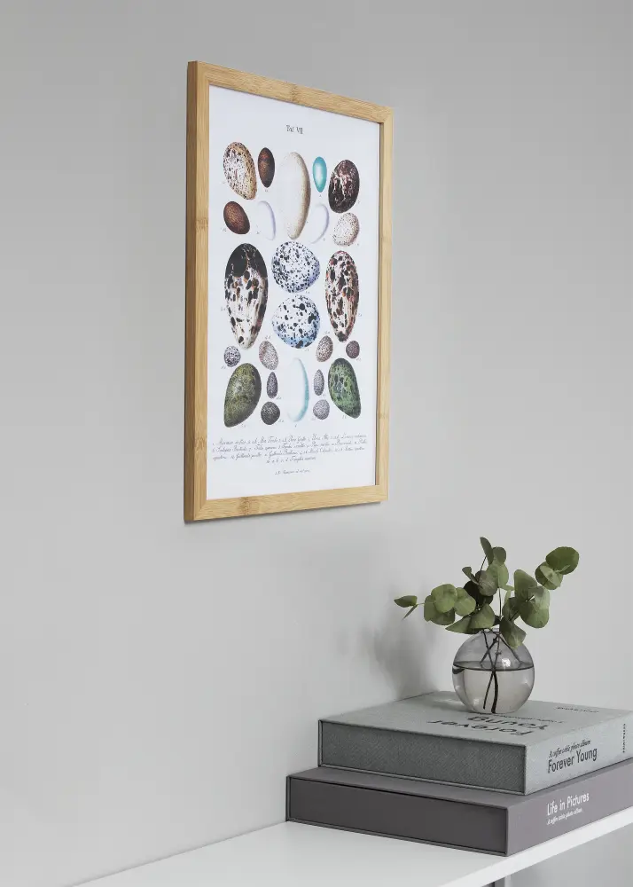 Moldura Hoei Bambu 70x100 cm - Passe-partout Preto 62x85 cm