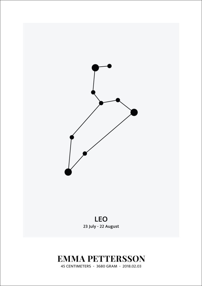 Leo - Signo do Zodíaco