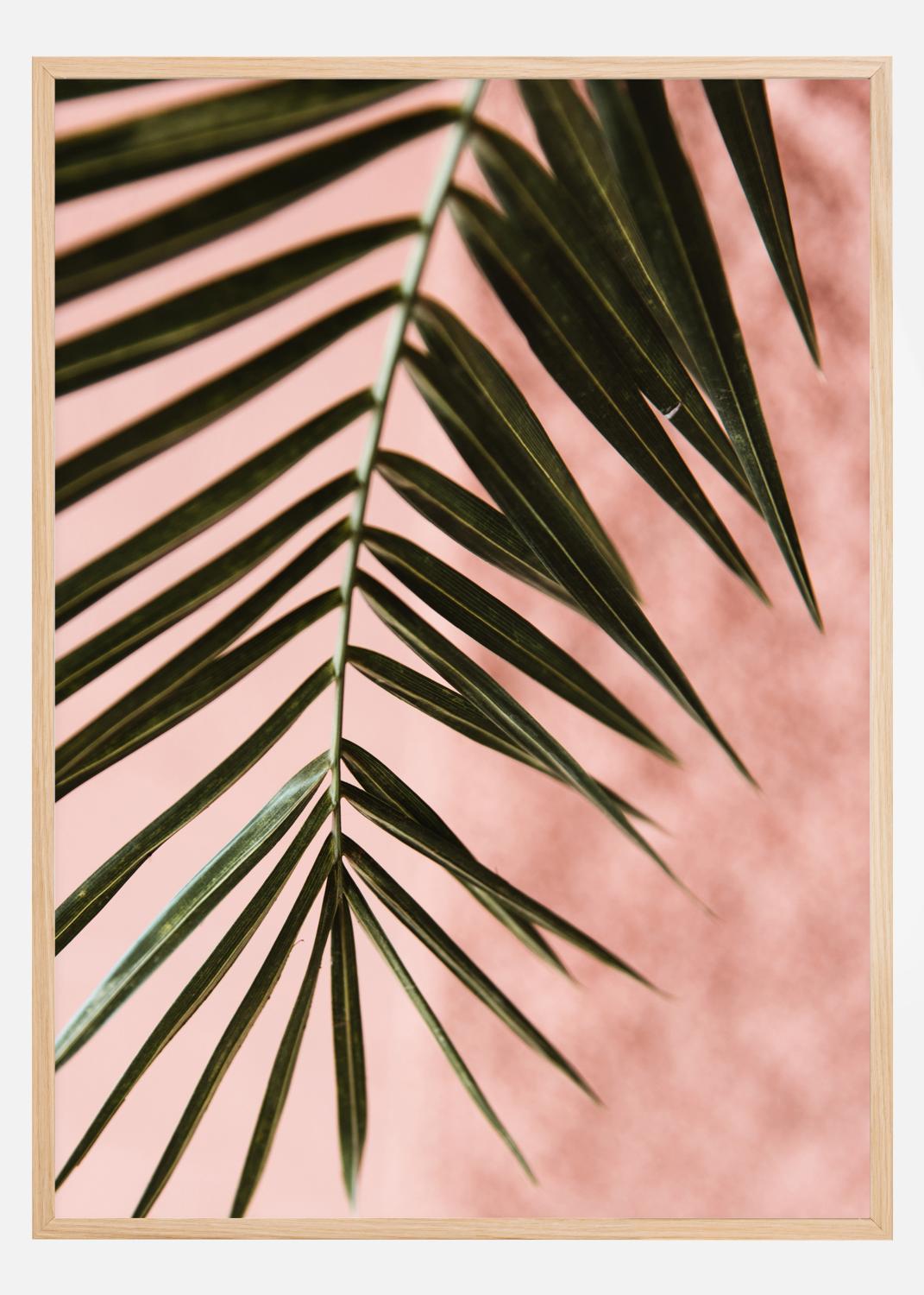 Product Image for Pink pastell palm Póster (21x29.7 cm (A4))