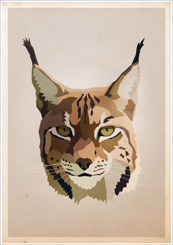 Lynx Póster