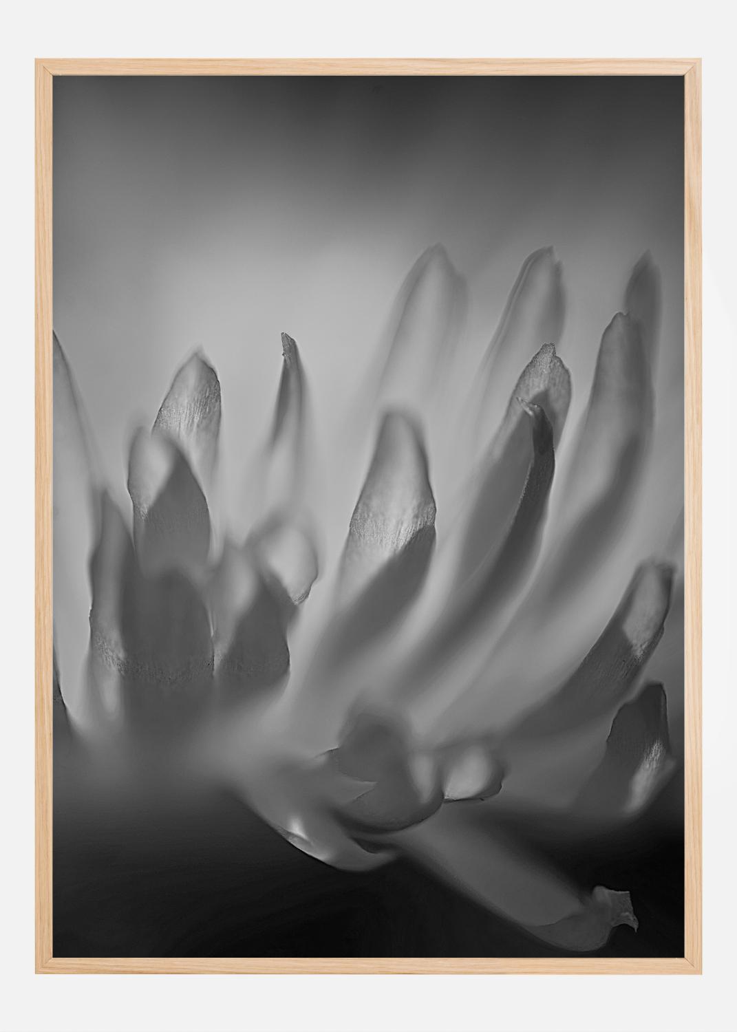 Product Image for Poster da Shaddows a preto e branco (50x70 cm)