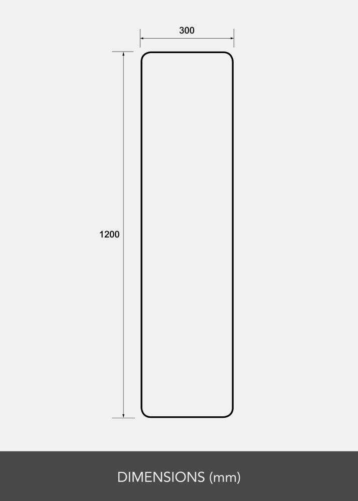 Espelho Rectangle L 30x120 cm