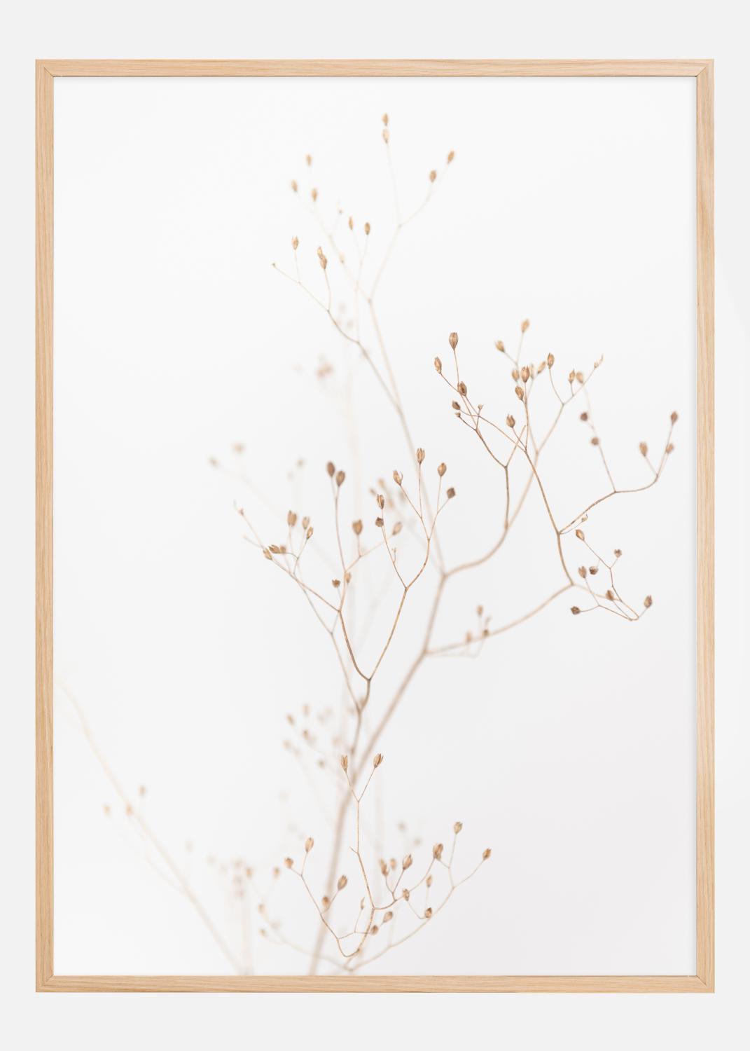 Product Image for Beige Straws Póster (21x29.7 cm (A4))
