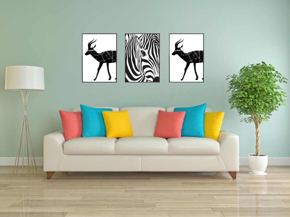 Zebra Póster