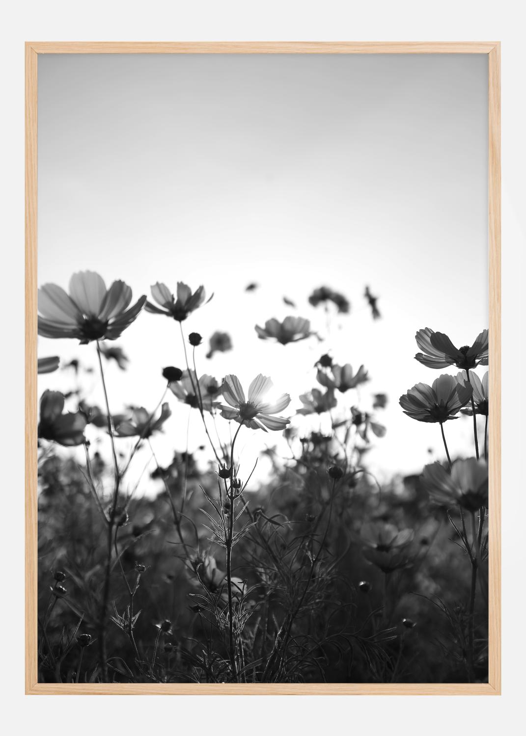 Product Image for Campo a preto e branco com flores Poster (21x29.7 cm (A4))