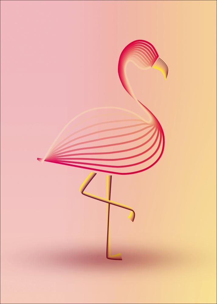 flamingo Póster