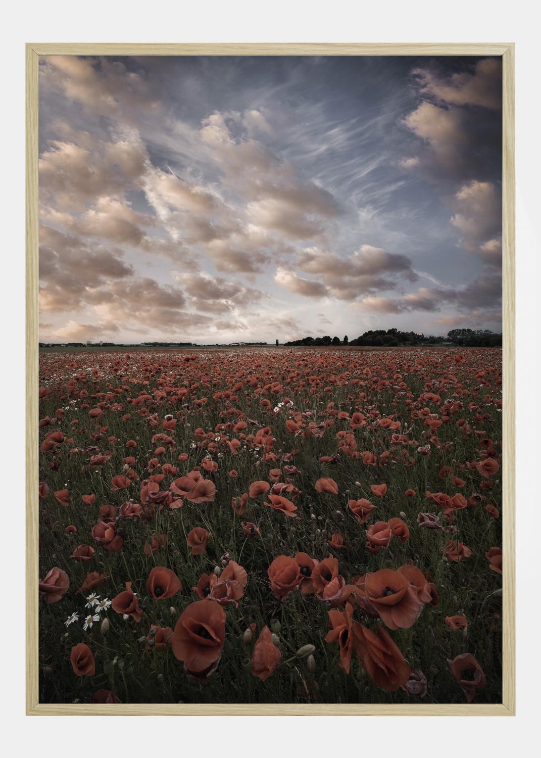 Product Image for Poppy Field In Sweden Póster (21x29.7 cm (A4))